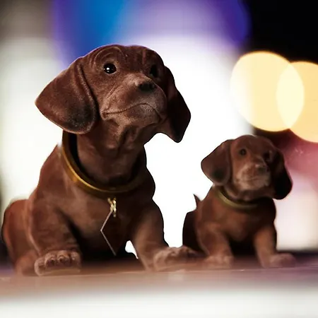 Courtyard By Marriott Berlin 4*