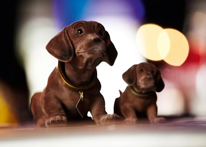 Courtyard By Marriott Berlin 4*